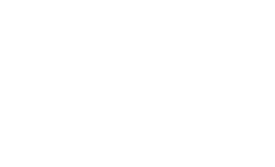 Logo SLS Punta del Este